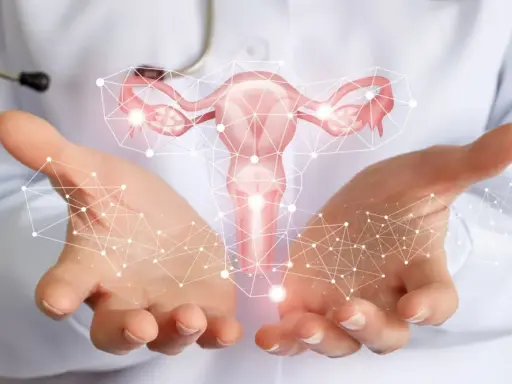 Mani di medico sorreggono utero stilizzato, connettività digitale. Informazioni sui tumore utero sintomi.