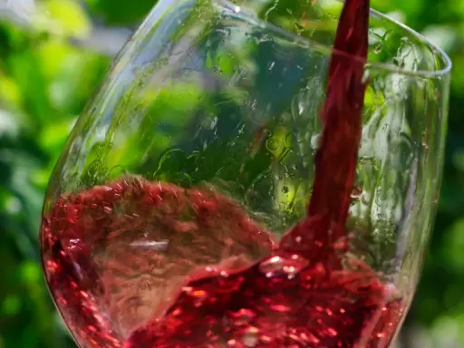 Roter Wein, was ist Pinot Noir? Ein Glas wird mit tiefrotem Wein gefüllt, der im Sonnenlicht glänzt. Grüne Weinblätter im Hintergrund.