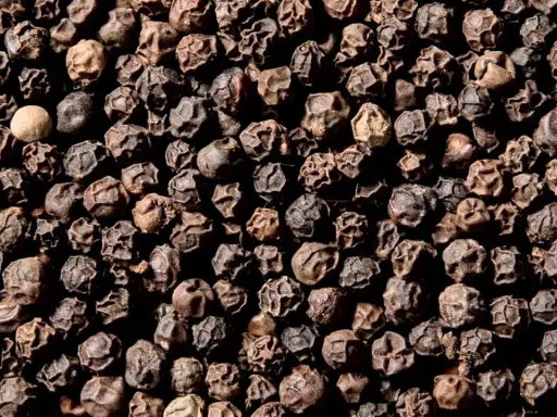 Ziarna czarnego pieprzu, z jednym jaśniejszym. Czy pieprz jest zdrowy? Tak, zawiera piperynę, która wspomaga trawienie i ma właściwości przeciwzapalne.