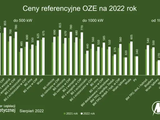 Aukcje OZE: Jak zapewnić stabilność inwestycji na 15 lat?