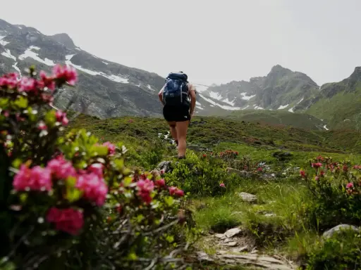 Kobieta z plecakiem idzie szlakiem wśród kwitnących rododendronów. W tle góry z resztkami śniegu. Sprawdź, jakie warunki na szlakach w Tatrach!