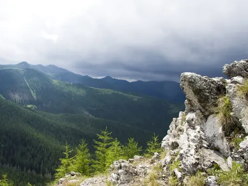 Widok na gęsty las świerkowy i skaliste zbocze w Tatrach pod zachmurzonym niebem.