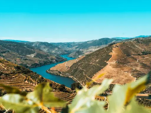 Atemberaubende Terrassenweinberge im Norden Portugals, die sich an steilen Hängen entlang des Flusses Douro erstrecken.