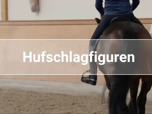 Reiter übt Hufschlagfiguren in einer Reithalle.