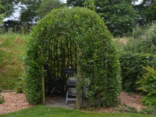 Un abri naturel formé par une **haie osier vivant**, avec des sièges et une table à l'intérieur, invitant à la détente.