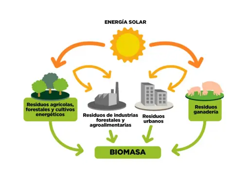 El sol impulsa la energía. Residuos agrícolas, industriales, urbanos y ganaderos se transforman en BIOMASA, mostrando como funciona la biomasa.