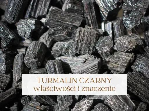 Grupka surowych, czarnych kryształów turmalinu. Poznaj czarny turmalin właściwości i jego znaczenie.