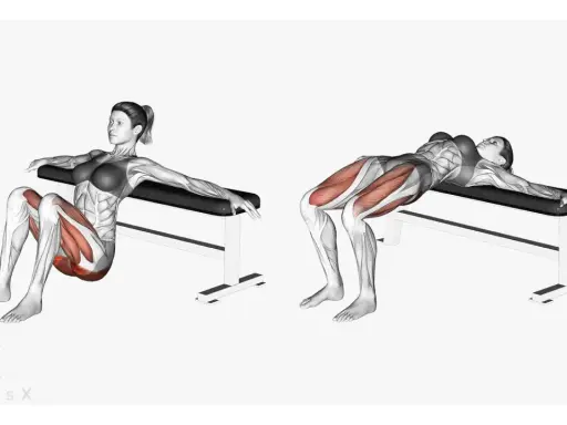Frauen führen Hip Thrusts auf einer Bank aus, um ihre Gesäßmuskulatur zu trainieren.