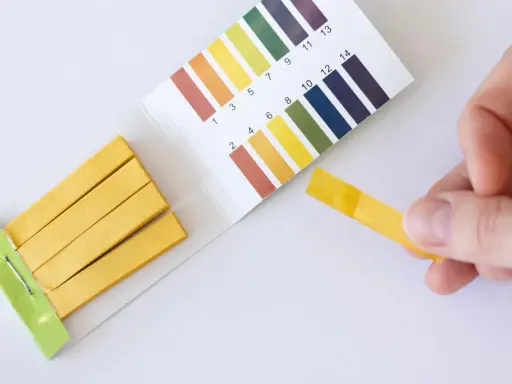 Teststreifen zeigen einen pH-Wert von 7 an. Ein **blasensprung nicht bemerkt**? Keine Sorge, der Test ist negativ.