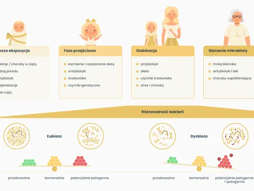 Diagram przedstawia etapy kształtowania się mikrobioty jelitowej od narodzin do starości, porównując eubiozę i dysbiozę.