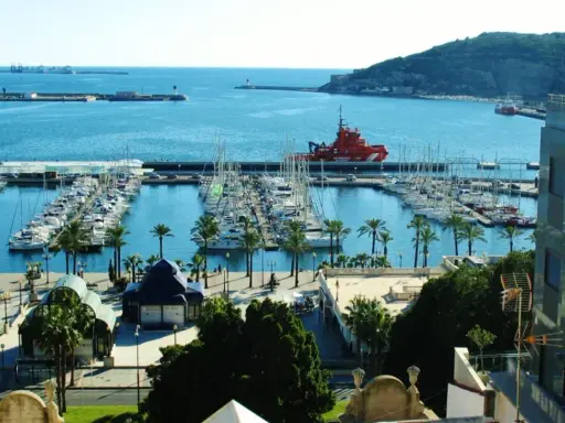 Der Cartagena Hafen mit vielen Segelbooten und einem roten Rettungsboot. Palmen säumen die Promenade.
