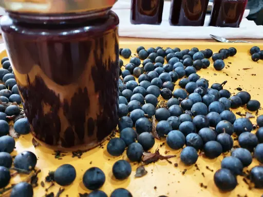 Ein Glas mit dunkler schlehen marmelade steht neben frischen Schlehen.