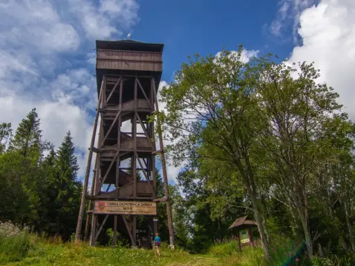 Drewniana wieża widokowa na Magurkach zaprasza do podziwiania panoramy. Wokół bujna zieleń i błękitne niebo.