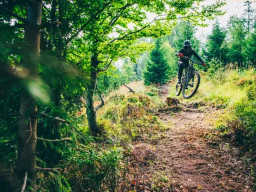 Rowerzysta w kasku skacze na trasie w bike park szczyrk. Leśna ścieżka pełna zieleni i słońca.