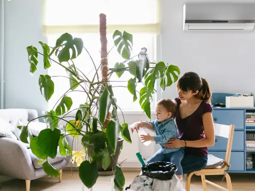Madre e hijo riegan una planta grande. El aire acondicionado huele a humedad, pero la escena es acogedora.