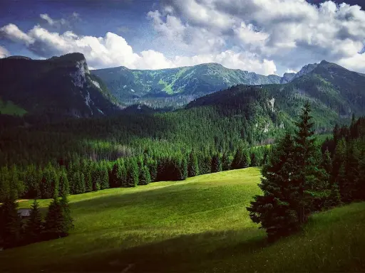 Tatry widziane z Zakopanego: zielone hale, gęste lasy świerkowe i skaliste szczyty pod chmurami.
