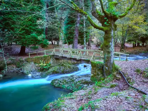Puente de madera sobre río turquesa, ideal para rutas con niños en Cantabria. Bosque frondoso y cascada.