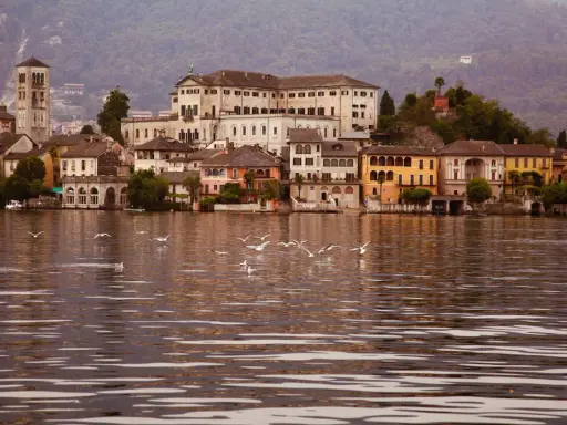 Orta San Giulio: cosa vedere? Un borgo pittoresco sul lago, con palazzi colorati e gabbiani che danzano sull'acqua.