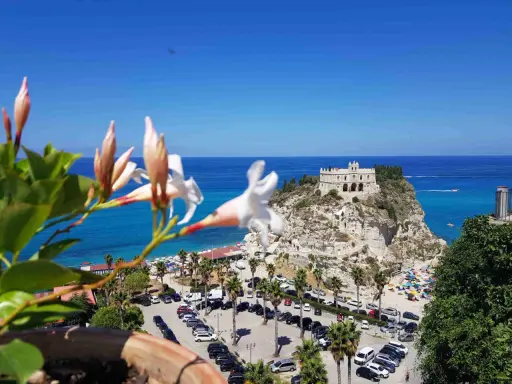 Fiori bianchi in primo piano con vista su Tropea e dintorni: il Santuario, la spiaggia affollata e il mare blu.