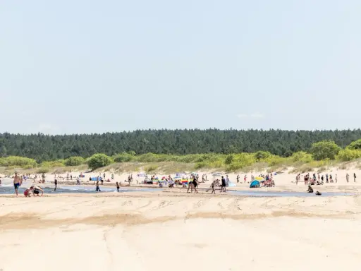 Słoneczna plaża pełna ludzi, z lasem w tle. To idealne miejsce na wypoczynek, jak w urokliwej wsi nad morzem.