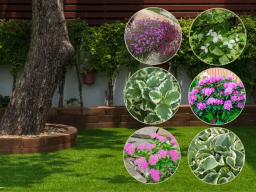 Kwitnące hosty, rododendrony i inne piękne **rośliny do cienia** tworzą barwną kompozycję w ogrodzie.