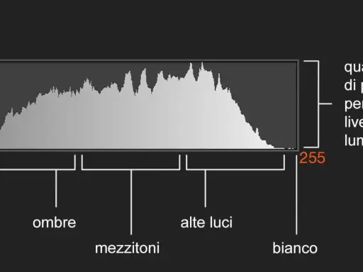 Un istogramma mostra la distribuzione dei pixel per ogni livello di luminosità, da nero (0) a bianco (255), evidenziando ombre, mezzitoni e alte luci.