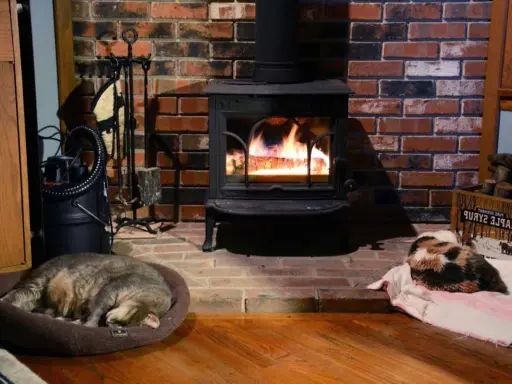 Installation poêle à bois avec deux chats endormis près du feu. Un chat tigré dort dans un panier, l'autre, tricolore, sur une couverture.
