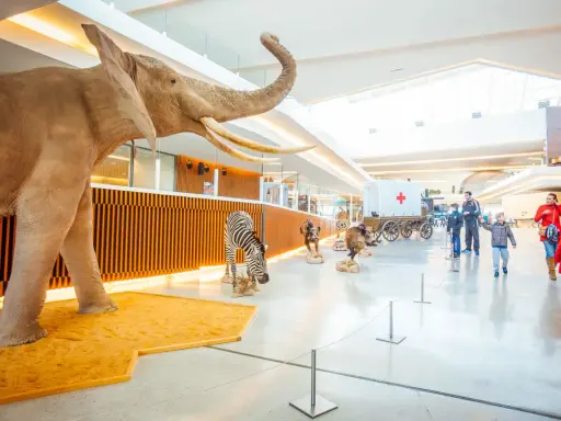 Elefante, cebra y otros animales en exhibición, ideal para actividades niños Granada gratis. Familias observan la exposición.