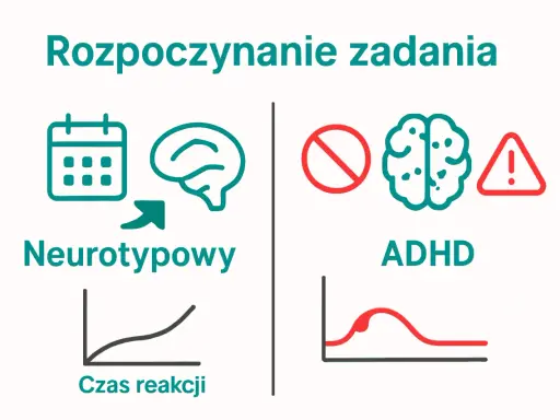 Rozpoczynanie zadań: neurotypowi vs ADHD. Grafika ilustruje różnice w reakcji mózgu, sugerując, że dysortografia może wpływać na czas reakcji.