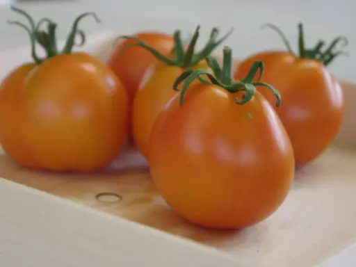 Cinq tomates orangées, comme des ananas noirs, reposent dans une caisse en bois.