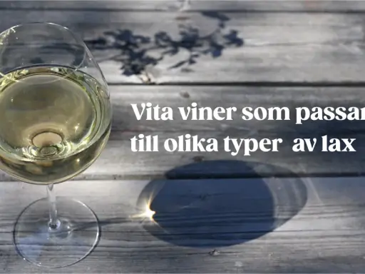 Glas med vitt vin på träbord, perfekt vitt vin till lax.