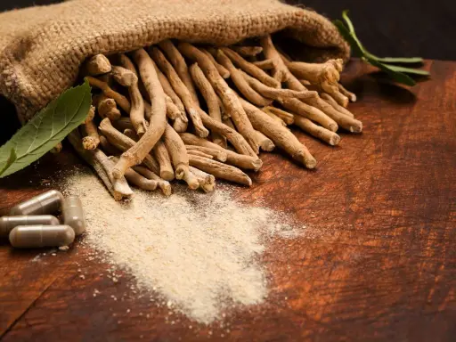 Racines d'ashwagandha en vrac et en gélules, poudre fine. Attention à l'ashwagandha danger potentiel.