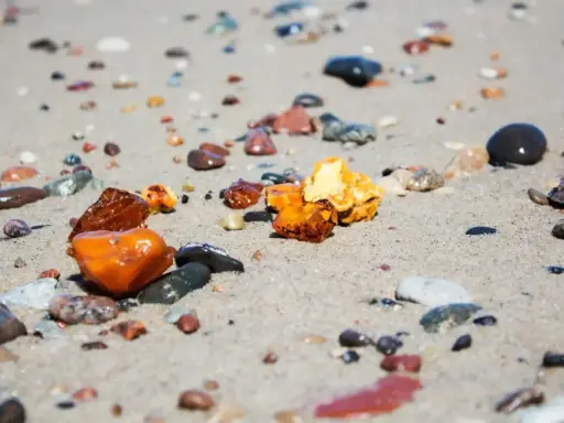 Kilka kawałków bursztynu o różnych odcieniach żółci i brązu leży na piaszczystej plaży wśród mokrych kamyków.