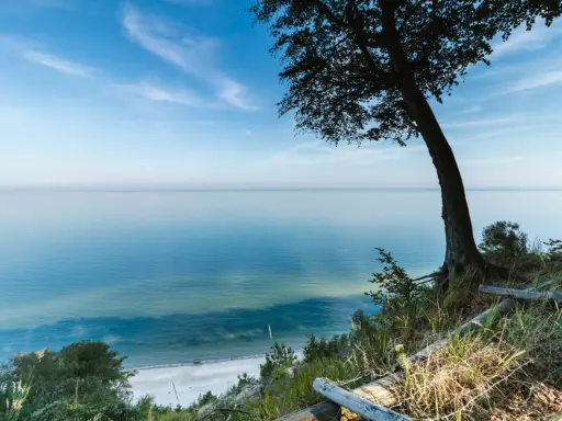Widok na spokojne morze z klifu w Międzyzdrojach. Drzewo na pierwszym planie, plaża w oddali. Piękne międzyzdroje atrakcje przyrodnicze.