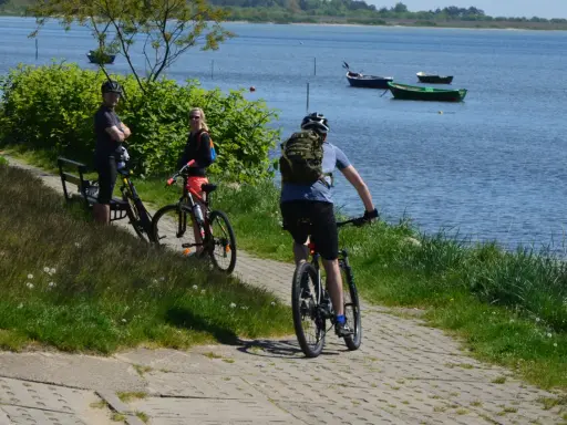 Trasa rowerowa Gdańsk Hel: trójka rowerzystów podziwia widok na zatokę, jeden z nich rusza dalej.