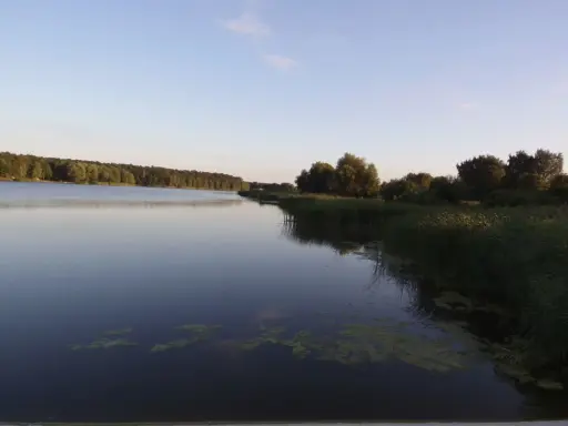 Spokojne gołuchowskie jezioro o zachodzie słońca, otoczone lasem i trzcinami.