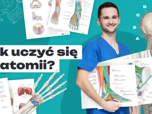 Uśmiechnięty student medycyny prezentuje schematy, jak się uczyć anatomii. Widoczne są ilustracje kości, mięśni i stawów.