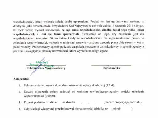Zniesienie współwłasności w sądzie: Jak skutecznie podzielić majątek?