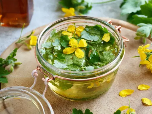 Un bocal rempli de chélidoine verrue, ses feuilles vertes et fleurs jaunes flottant dans un liquide doré. Une préparation naturelle pour prendre soin de sa peau.