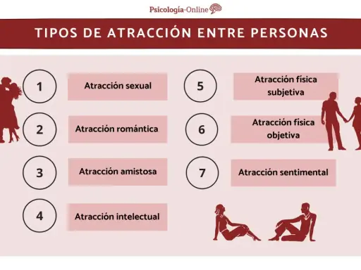 Diagrama de los tipos de atracción entre dos personas: sexual, romántica, amistosa, intelectual, física subjetiva y objetiva, y sentimental.