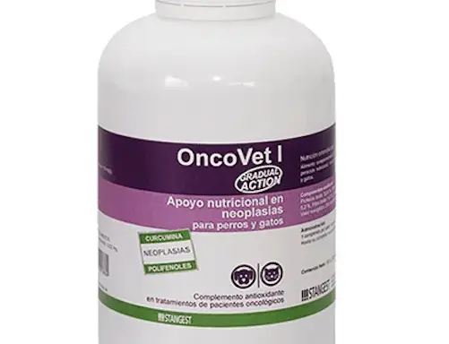 Suplementos para perros con cáncer: ¿Cuáles son seguros y efectivos?