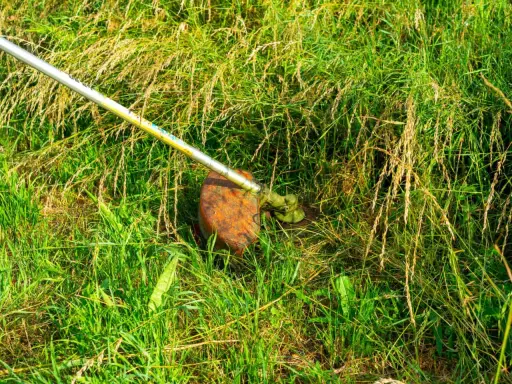 Gęsta trawa czeka na przycięcie. Jaka żyłka do podkaszarki elektrycznej sprawdzi się najlepiej w takich warunkach?