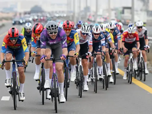 Max Walscheid im violetten Trikot kämpft sich mit anderen Radfahrern durch ein Rennen.