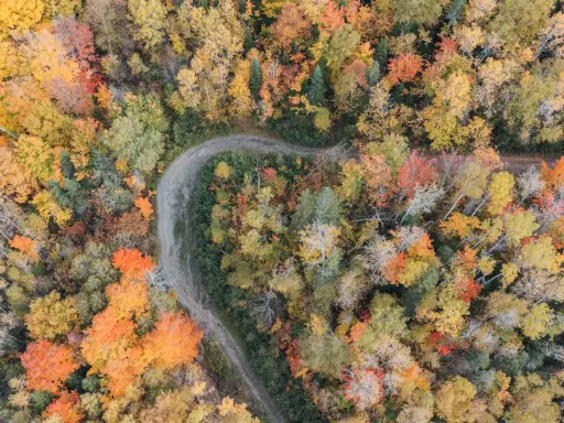 Luftaufnahme eines gewundenen Weges durch einen Wald in Nova Scotia, der im Indian Summer in leuchtenden Herbstfarben erstrahlt.
