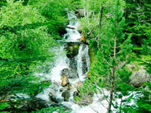 Cascada entre frondosos árboles verdes, ideal para benasque rutas sencillas. El agua desciende por rocas en un entorno natural exuberante.