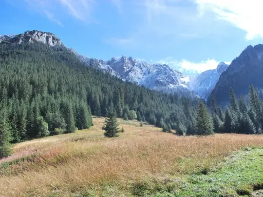 Piękna Dolina Kościeliska. Ile km do schroniska? Wspaniały widok na las i ośnieżone szczyty.
