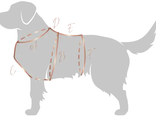 Ilustracja pokazuje schematyczne ujęcie psa z zaznaczonymi liniami i literami (A, B, C, D, E, F), które pomagają określić, jak zmierzyć szelki dla psa.