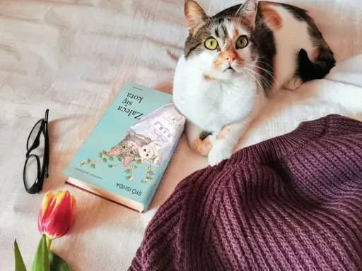 Kociak przy książce "Zaleca się kota". Obok leżą okulary i tulipan.