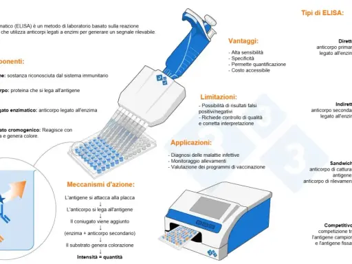 Schema del metodo ELISA: illustra componenti, vantaggi, limitazioni, applicazioni e tipi di test immunoenzimatico.
