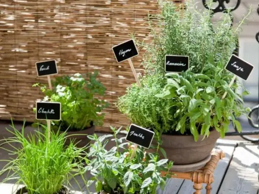 Un balcon fleuri de plantes aromatiques : ciboulette, persil, thym, romarin et sauge. Un petit coin de nature pour cuisiner.